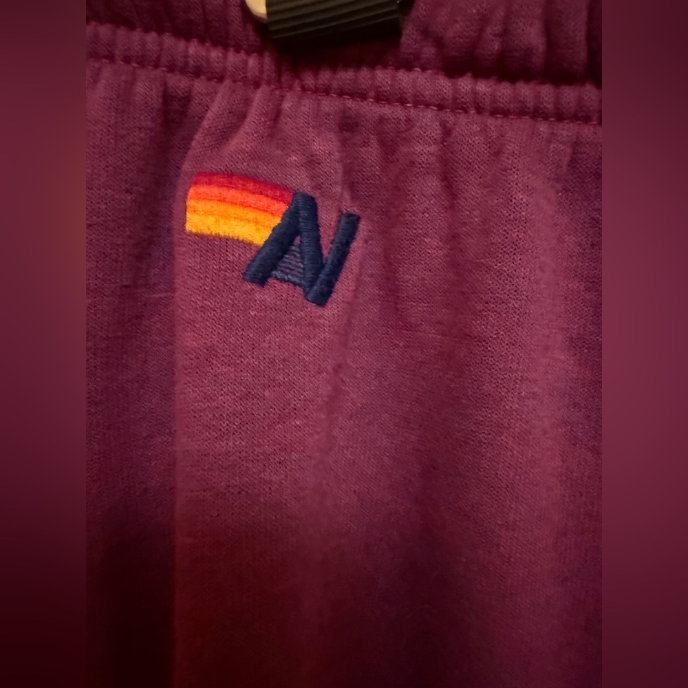 Aviator Nation Volt Sweatpants - Picture 7 of 15